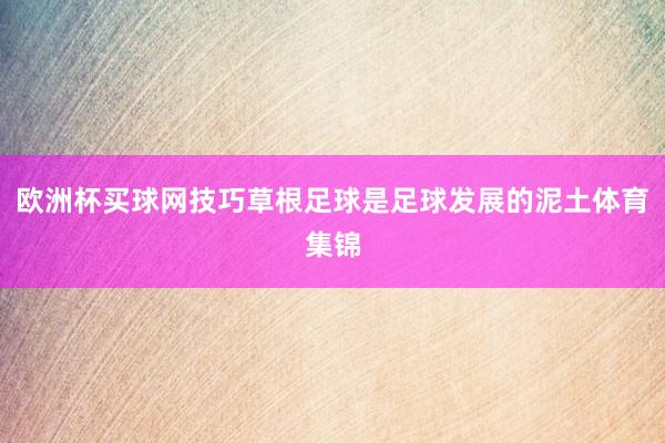欧洲杯买球网技巧草根足球是足球发展的泥土体育集锦