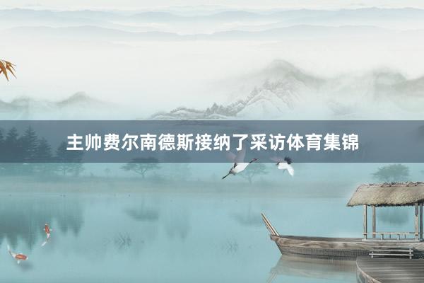 主帅费尔南德斯接纳了采访体育集锦