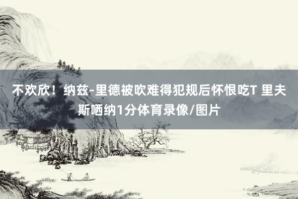 不欢欣！纳兹-里德被吹难得犯规后怀恨吃T 里夫斯哂纳1分体育录像/图片
